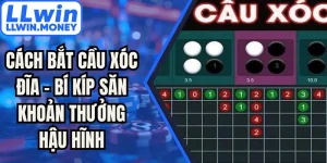 Cách Bắt Cầu Xóc Đĩa - Bí Kíp Săn Khoản Thưởng Hậu Hĩnh
