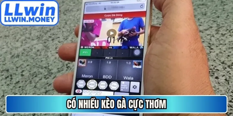 Đá gà LLWIN 3 Có nhiều kèo gà cực thơm