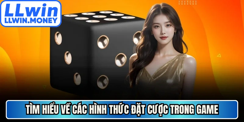 Game Xúc Xắc Online - Cùng Quy Trình Tham Gia Tối Ưu 3 Tìm hiểu về các hình thức đặt cược trong game