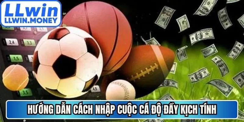 Thể thao LLWIN 3 Hướng dẫn cách nhập cuộc cá độ đầy kịch tính