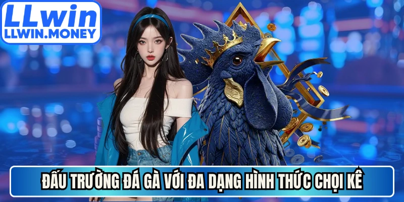 Đấu trường đá gà với đa dạng hình thức chọi kê