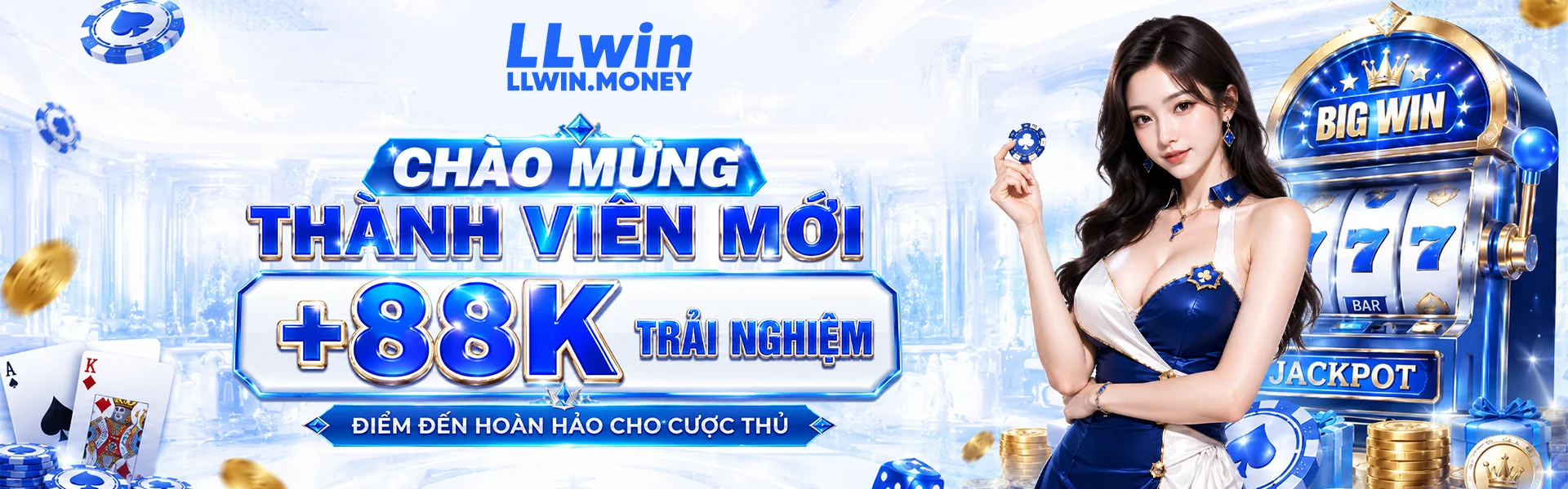Banner LLWIN